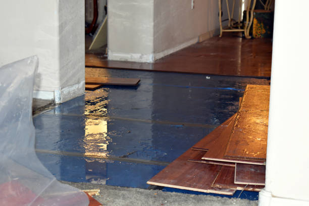 Professional Water Removal technician working in Medford, NY